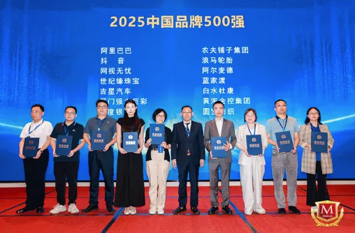 品牌价值再升级！网视无忧荣膺“2025中国品牌500强”&“2025品牌强国行业榜·十大领军品牌”